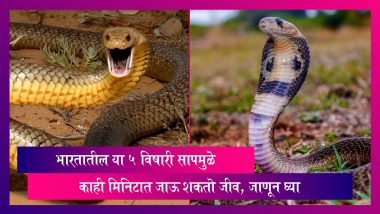 World Snake Day 2022: भारतातील 'या' 5 विषारी सापमुळे काही मिनिटात जाऊ शकतो जीव